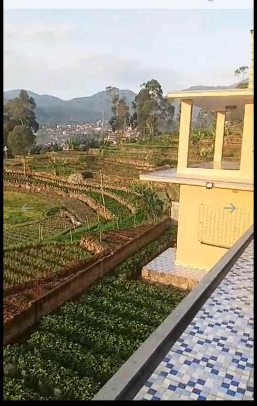 rumah villa ciwidey kebun stroberi