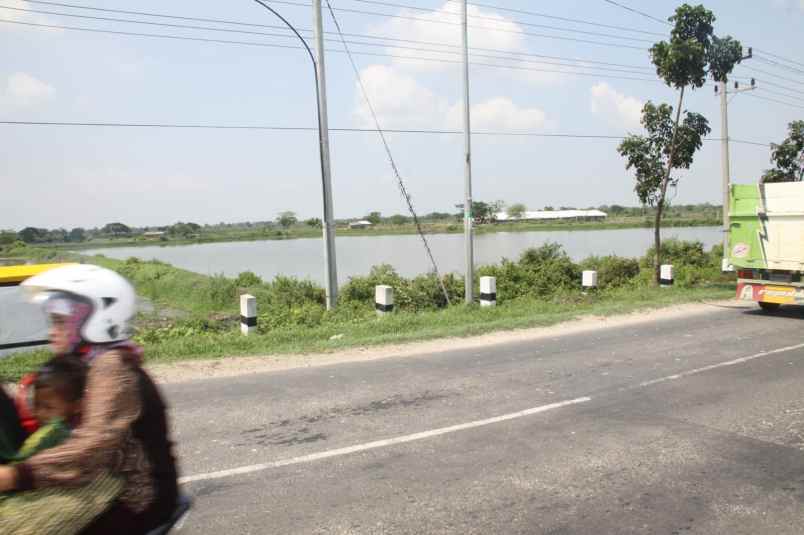 tambak strategis di gresik