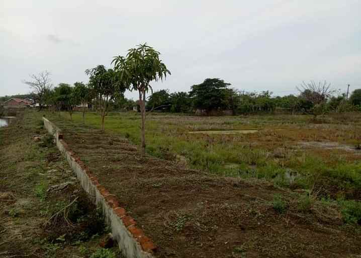 tanah 100 hektar muaragembong bekasi