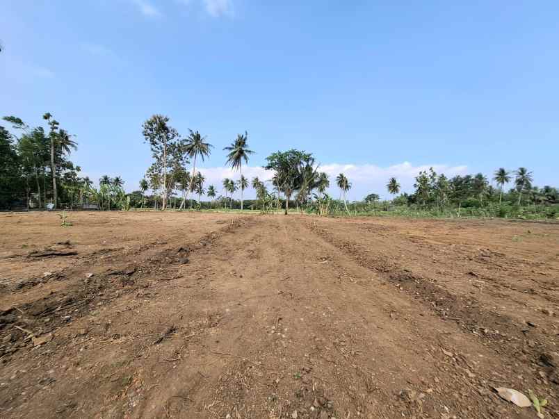 tanah 150 jutaan view sawah di moyuda sleman