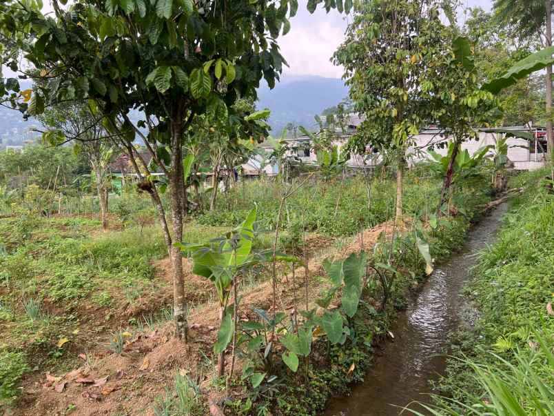 tanah 2038m strategis untuk villa wisata karanganyar