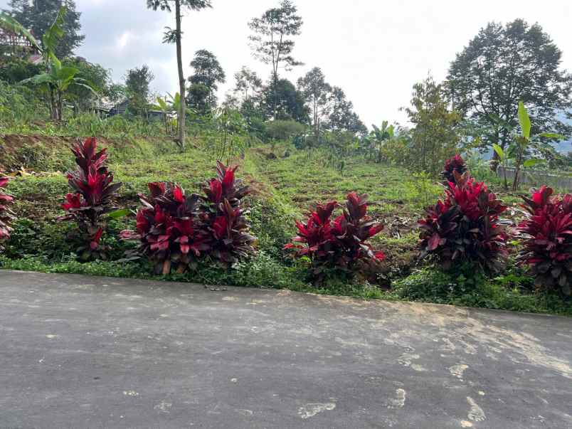 tanah 2038m strategis untuk villa wisata karanganyar