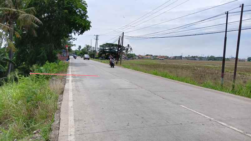 tanah 5 hektar di mauk tangerang