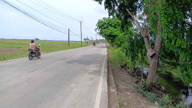 tanah 5 hektar di mauk tangerang