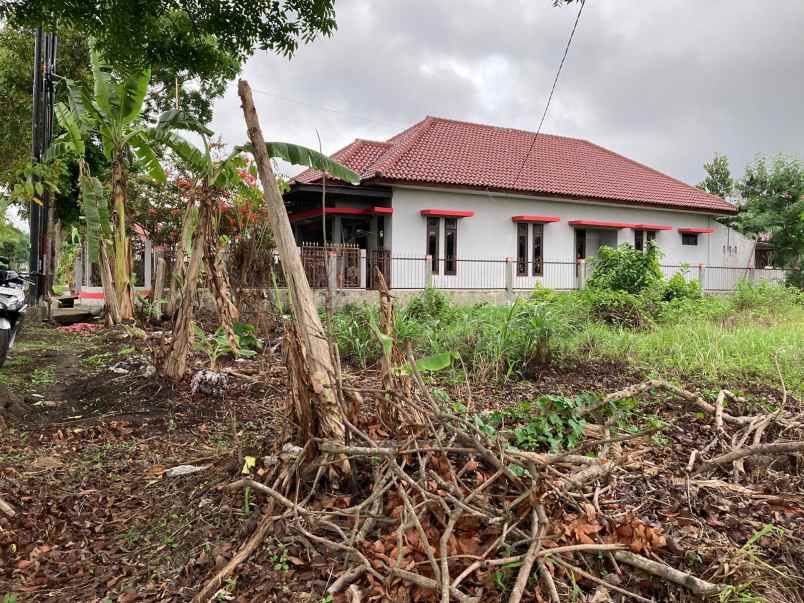 tanah bagus mangku aspal jl kabupaten area perumahan