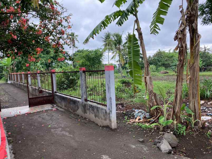 tanah bagus mangku aspal jl kabupaten area perumahan