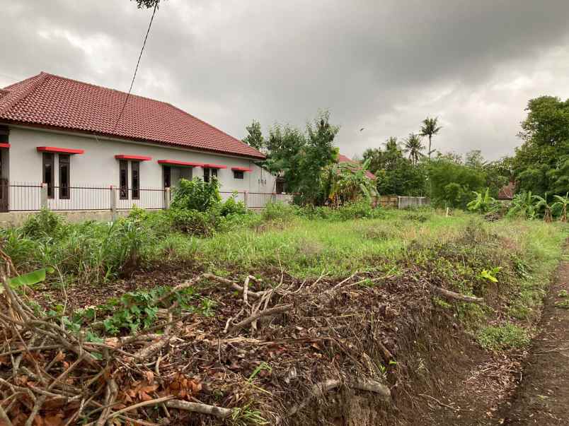 tanah bagus mangku aspal jl kabupaten area perumahan