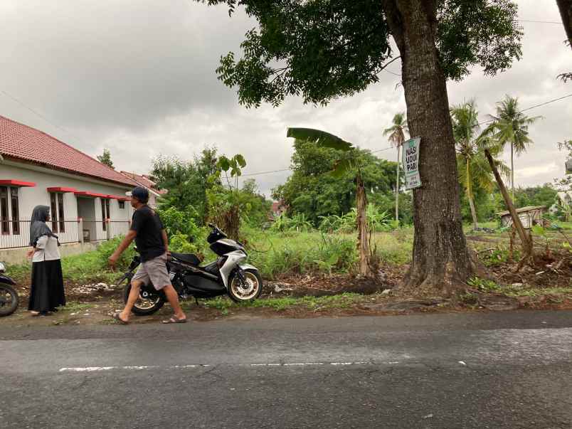 tanah bagus mangku aspal jl kabupaten area perumahan