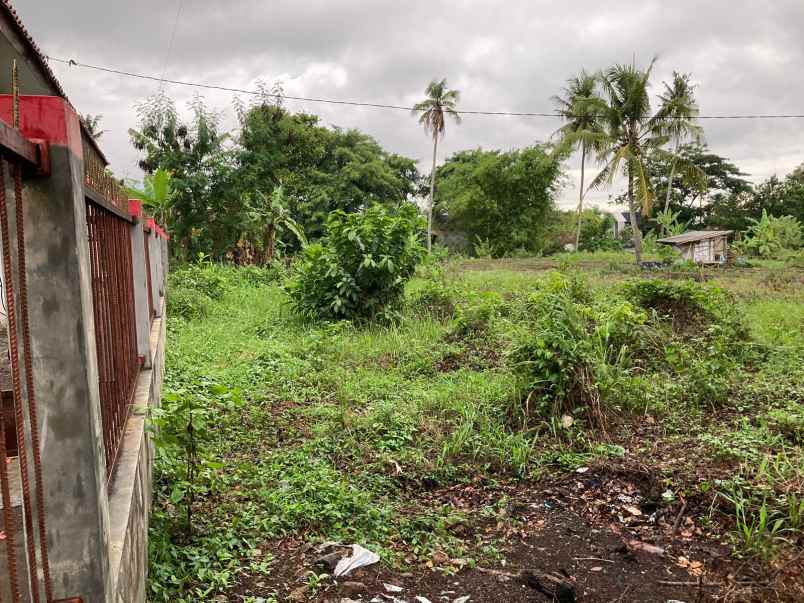 tanah bagus mangku aspal jl kabupaten area perumahan