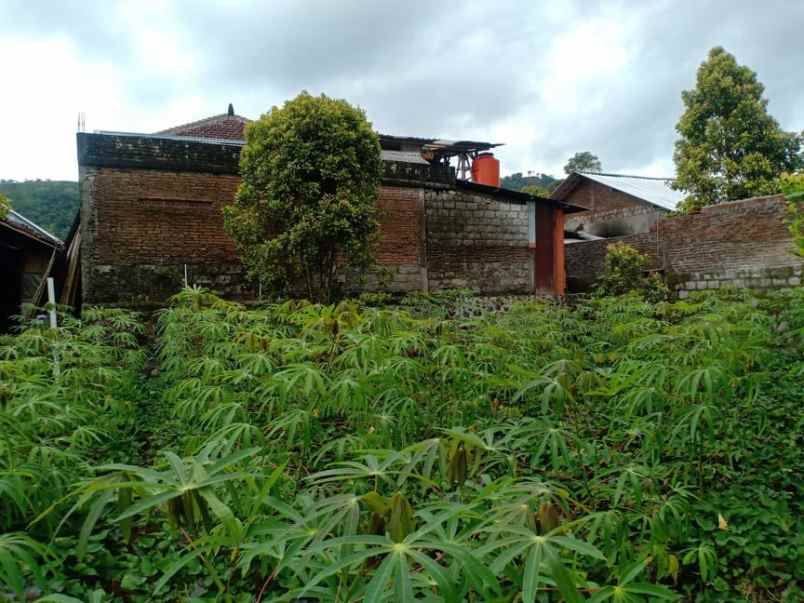 tanah barat pasar kemuning