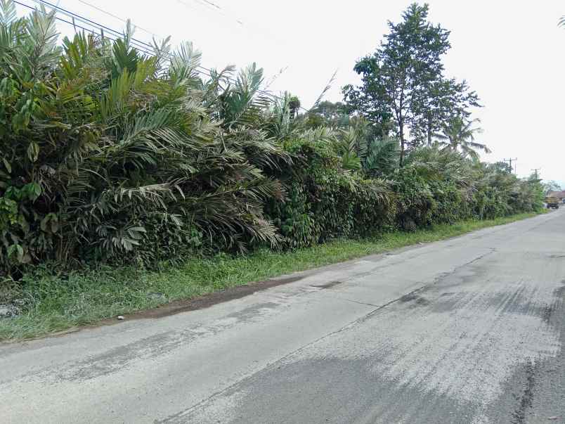 tanah daerah jalan cagak subang jawa barat