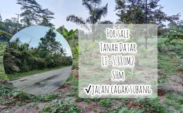 tanah daerah jalan cagak subang jawa barat