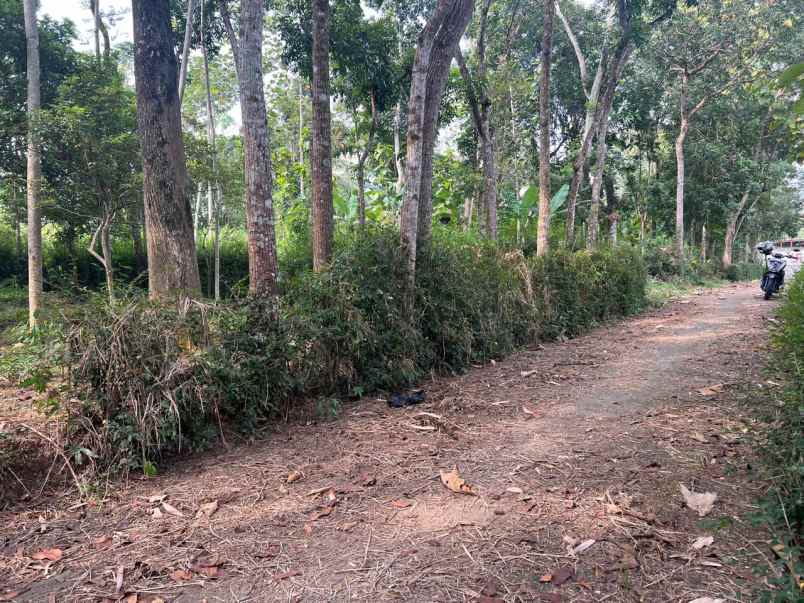 tanah datar siap bangun mojogedang karanganyar