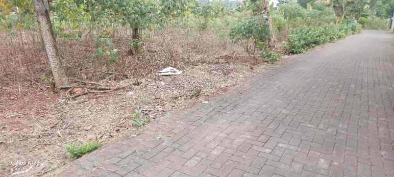 tanah dekat undip mulawarman tembalang