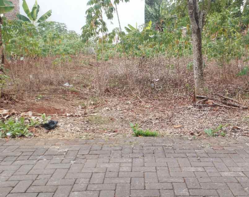tanah dekat undip mulawarman tembalang