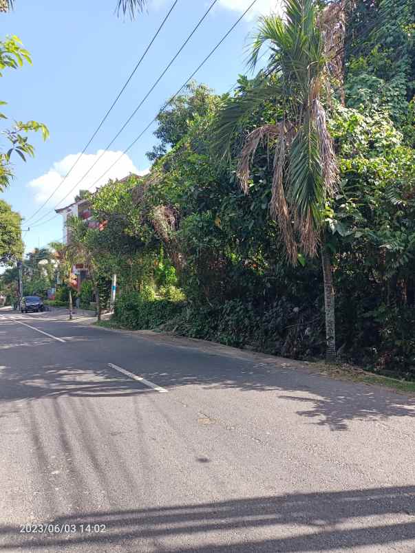 tanah di jalan utama padang tawang canggu babakan bali