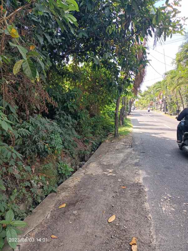 tanah di jalan utama padang tawang canggu babakan bali