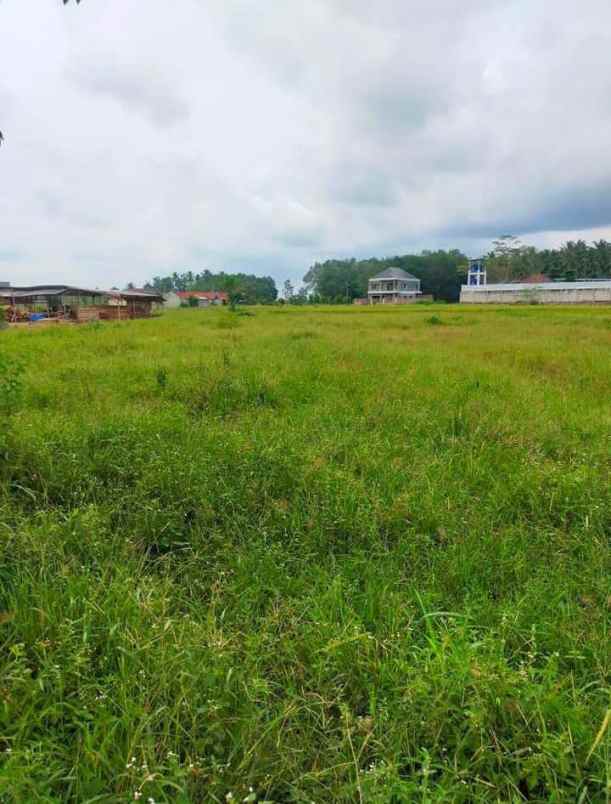 tanah di jalur dia itera luas 9600m shm