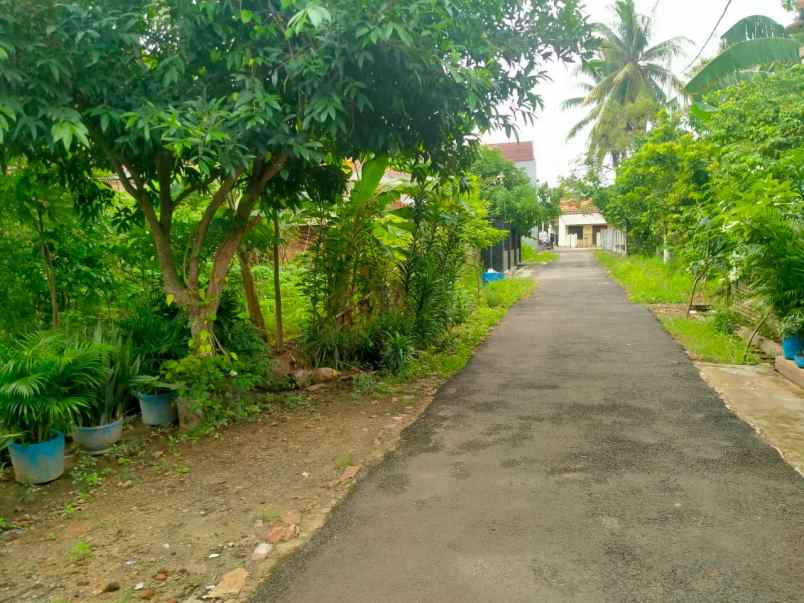 tanah di kampung baru unila 280m shm