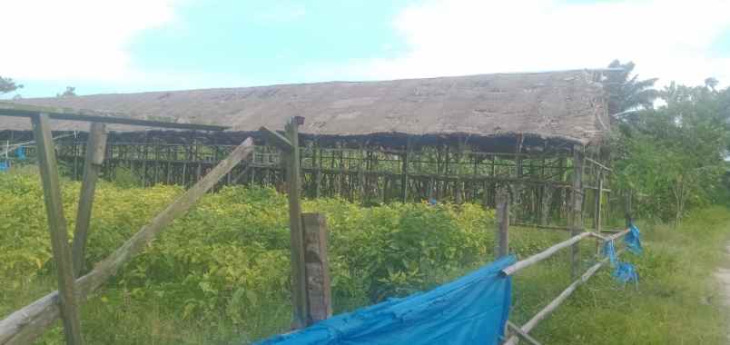 tanah di kawasan kec pantai labu deli serdang