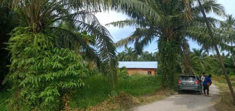 tanah di kawasan kec pantai labu deli serdang