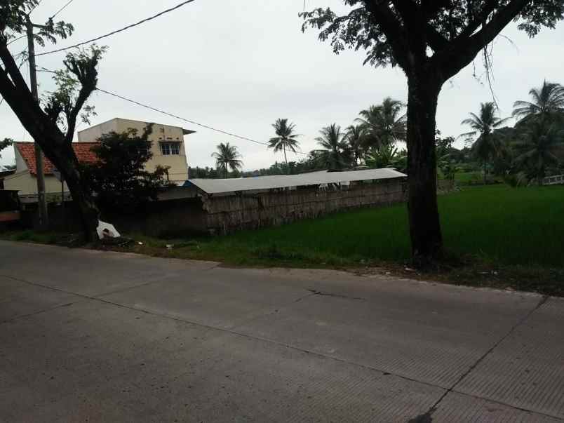 tanah jl jati bojongpicung