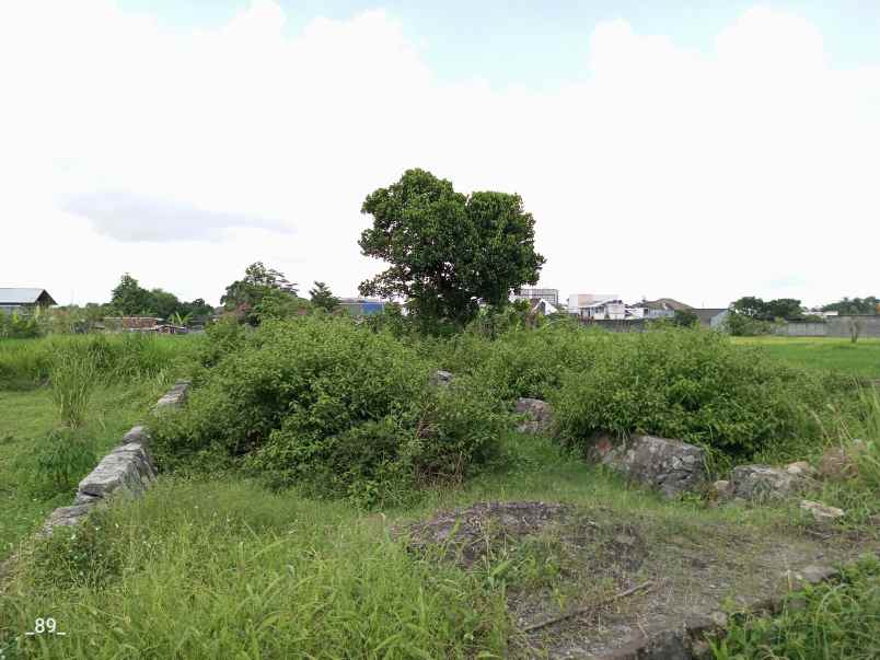 tanah jogja dekat ugm di jl damai kaliurang shm