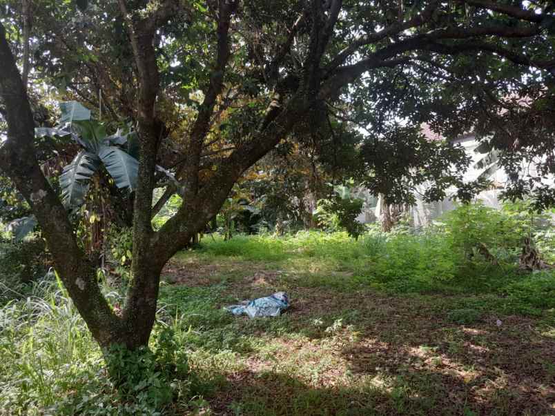 tanah kavling murah lokasi dekat rsud cibinong bogor