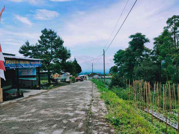 tanah kawasan wisata alam