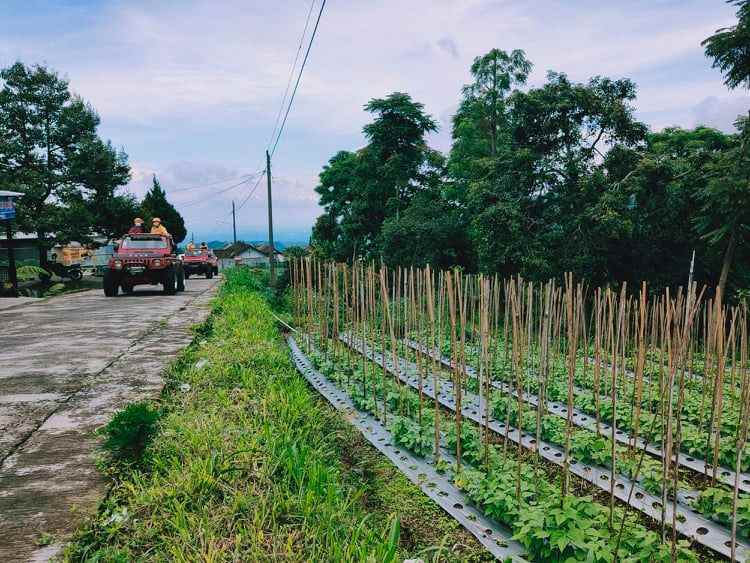 tanah kawasan wisata alam