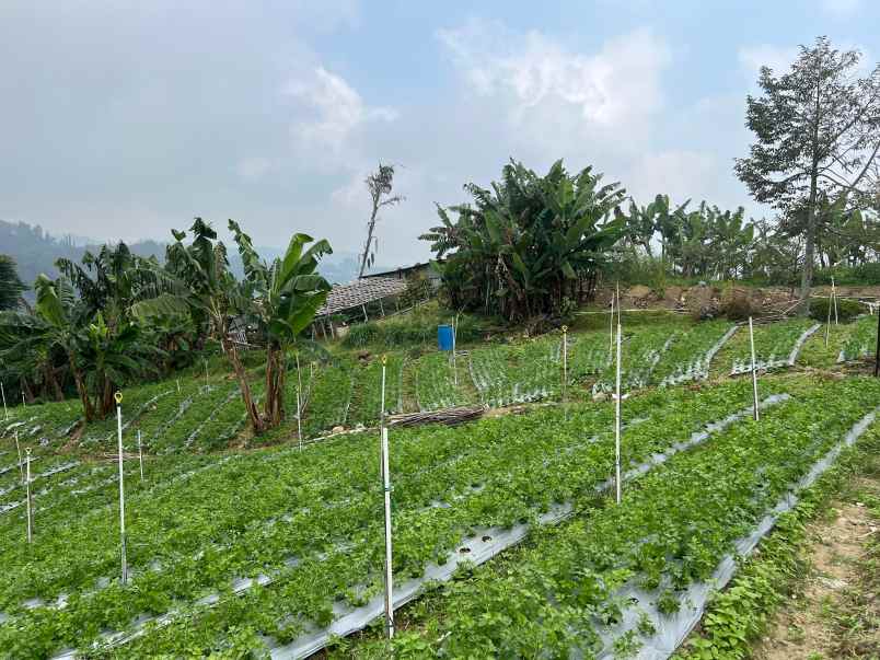 tanah kawasan wisata tawangmangu 2000m view cantik