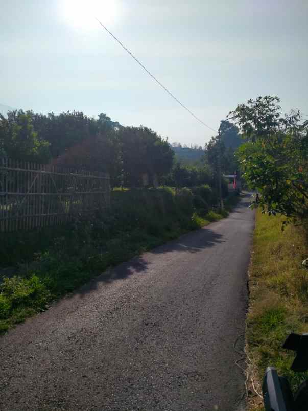 tanah kebun jeruk murah produktif di junggo kota batu