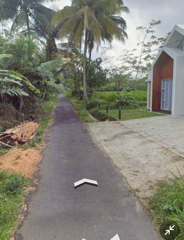 tanah kebun salak donokerto dekat sdn 3 turi