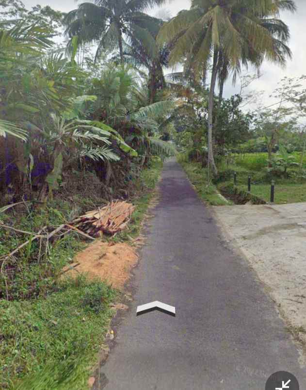 tanah kebun salak donokerto dekat sdn 3 turi