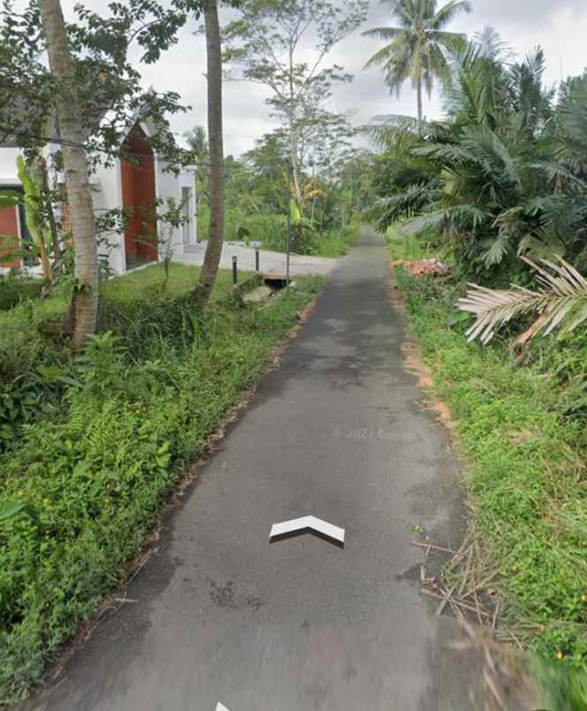 tanah kebun salak donokerto dekat sdn 3 turi