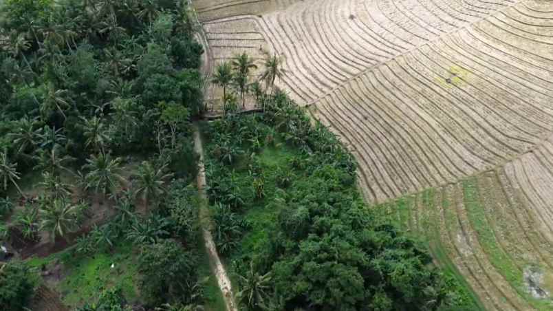 tanah kebun shm zona kuning pemukiman di tabanan balu