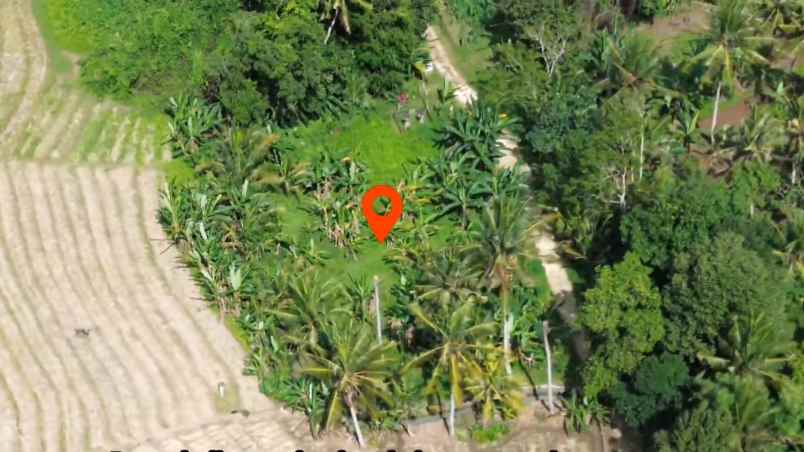 tanah kebun shm zona kuning pemukiman di tabanan balu