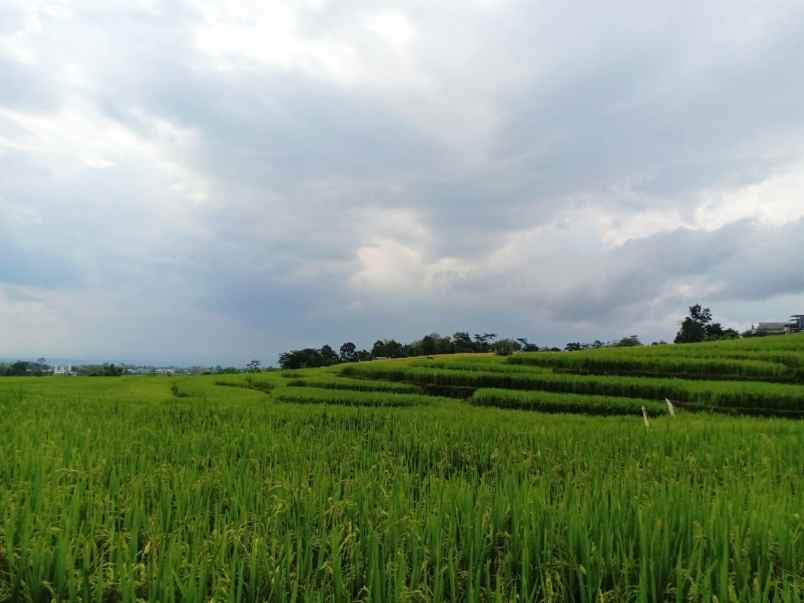 tanah kerjo karanganyar