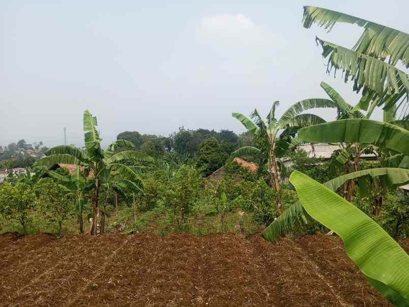 tanah kosong berupa kebun