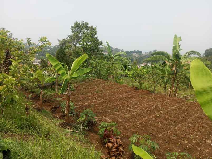 tanah kosong berupa kebun
