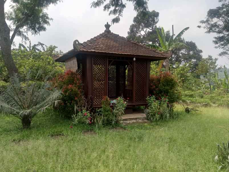 tanah kosong berupa kebun