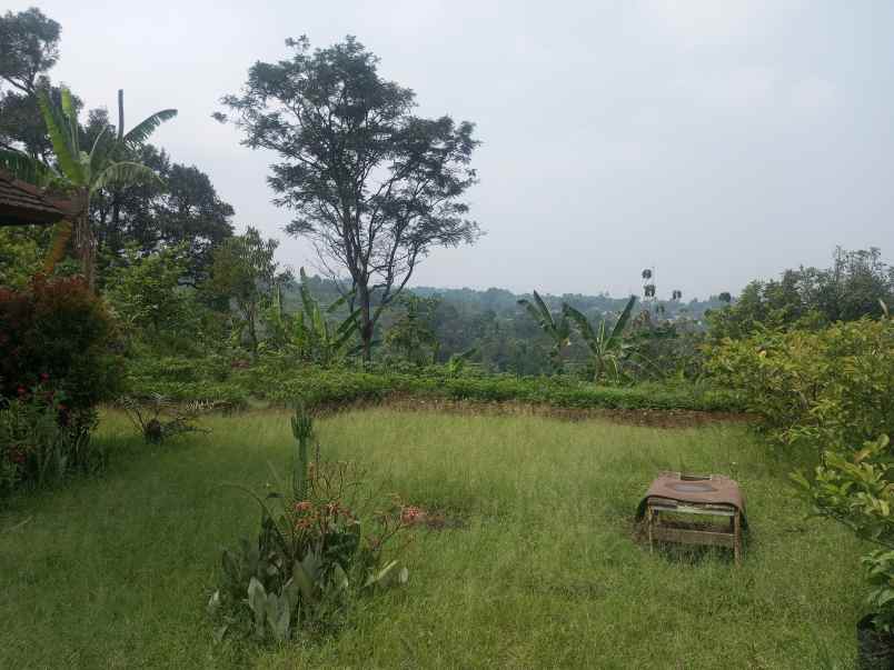 tanah kosong berupa kebun