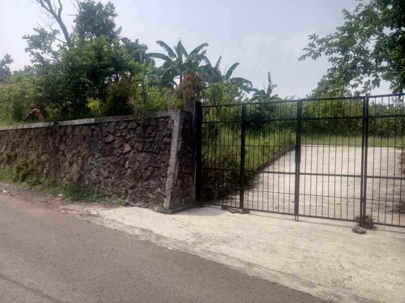 tanah kosong berupa kebun
