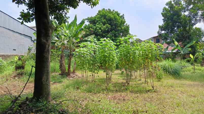 tanah lahan cocok untuk perumahan di munjul