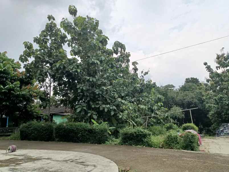 tanah lingkungan asri 1000m 500 juta karangpandan