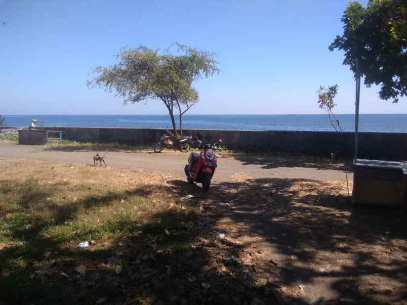 tanah los pantai lokasi temukus lovina