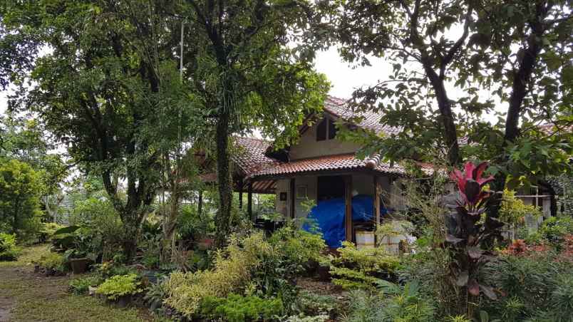 tanah luas 2000m bonus rumah duren seribu depok