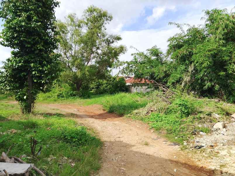 tanah luas 2400m shm di tanjjung senang