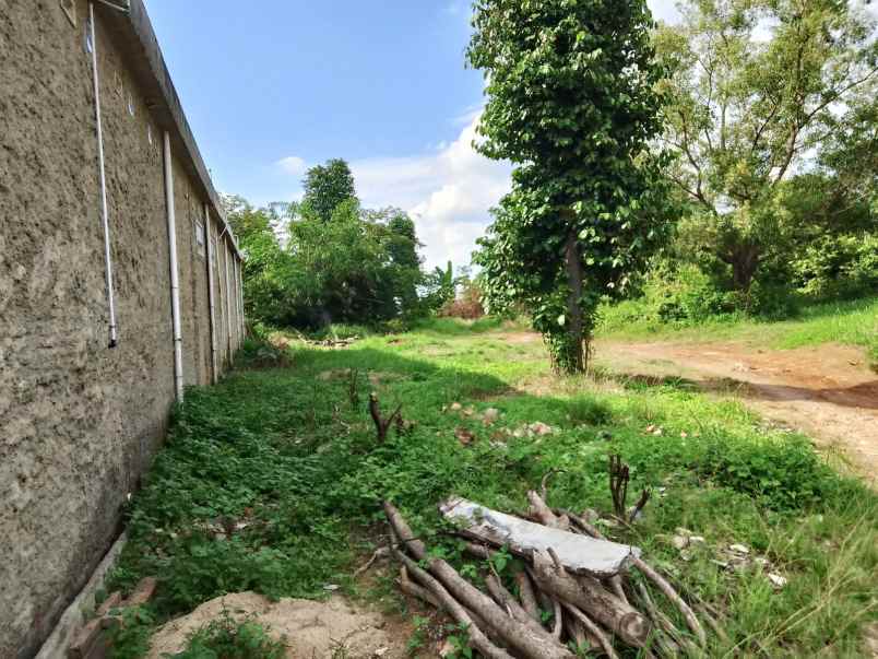 tanah luas 2400m shm di tanjjung senang