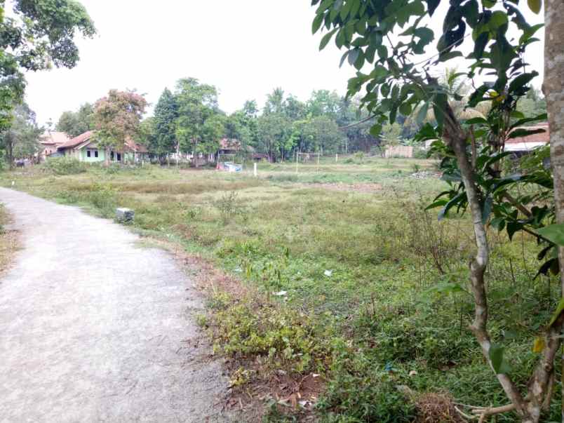 tanah luas samping jalan besar di cilaku tenjo bogor